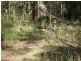 Lot 1/594 German Church Road, Redland Bay QLD 4165