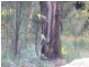 Lot 1/594 German Church Road, Redland Bay QLD 4165