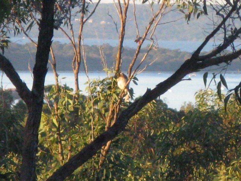 Lot 5/594-598 German Church Road, Redland Bay QLD 4165