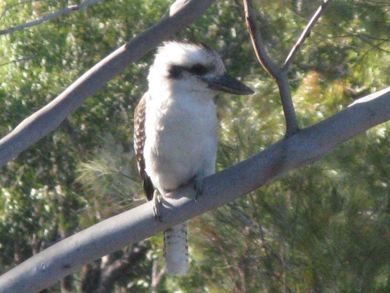 Lot 5/594-598 German Church Road, Redland Bay QLD 4165
