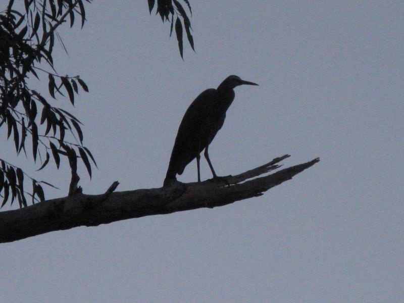 Lot 3/594 German Church Road, Redland Bay QLD 4165