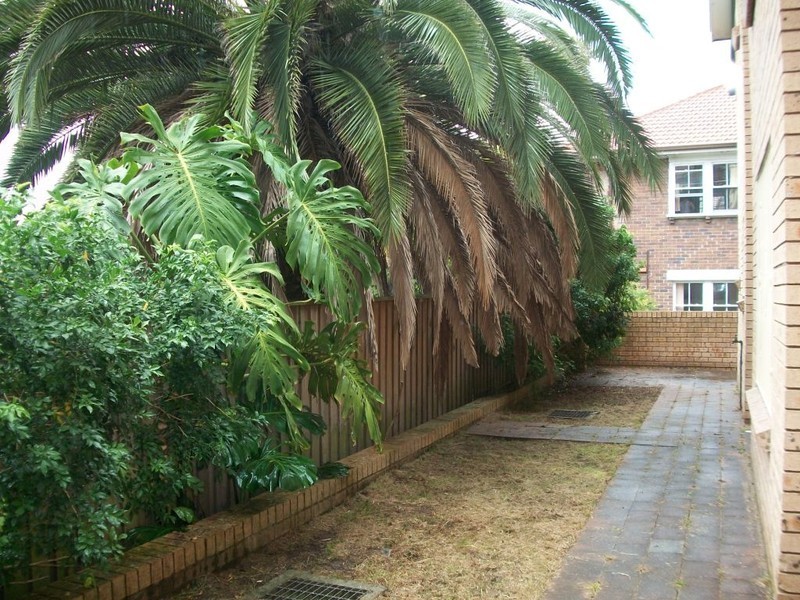 15-17 Boronia Street, Kensington NSW 2033