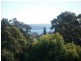 177 BELLEVUE ROAD, Bellevue Hill NSW 2023