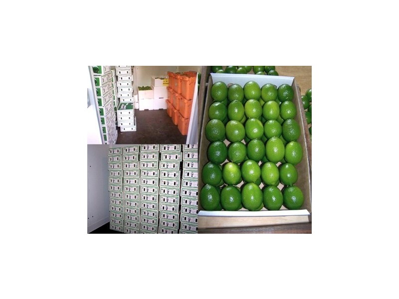 397 Gungas Road, Nimbin NSW 2480