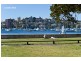 1/9 Manning Road, Double Bay NSW 2028