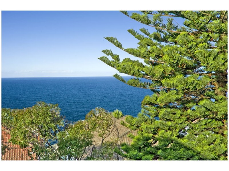 9/315 Military Road, Vaucluse NSW 2030