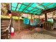 236 Old South Head Road, Bellevue Hill NSW 2023