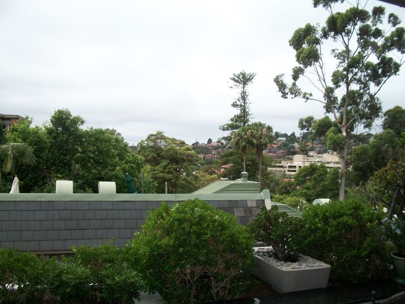 39 Ocean Avenue, Double Bay NSW 2028