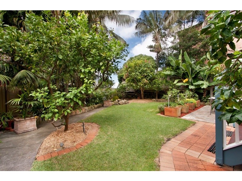 31 Fern Street, Clovelly NSW 2031