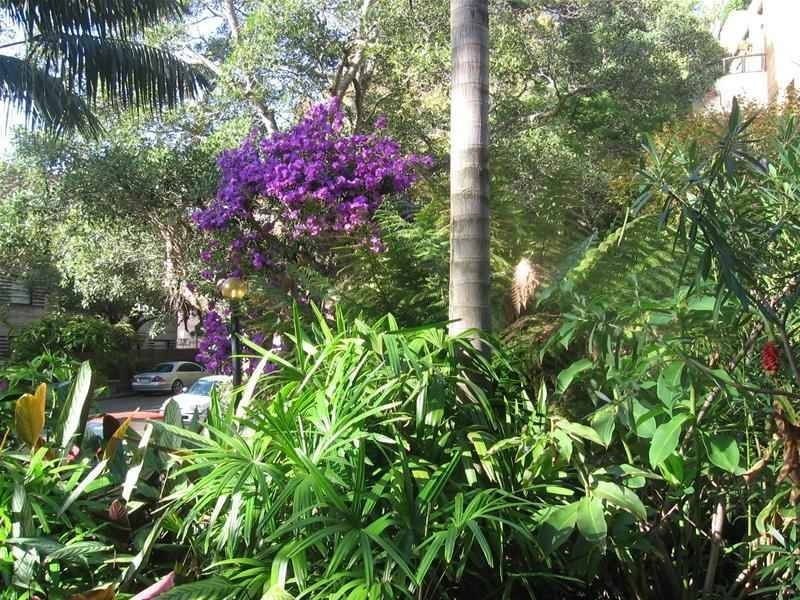 4/33 Ocean Avenue, Double Bay NSW 2028