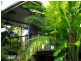 Palm Cove QLD 4879