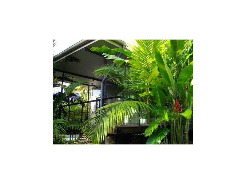 Palm Cove QLD 4879