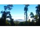 17 Platypus, Kuranda QLD 4881