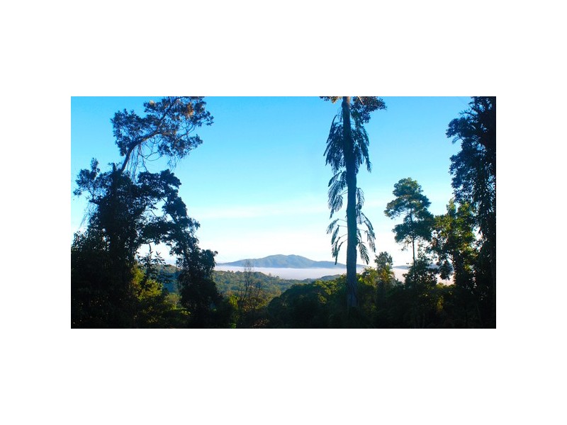 17 Platypus, Kuranda QLD 4881