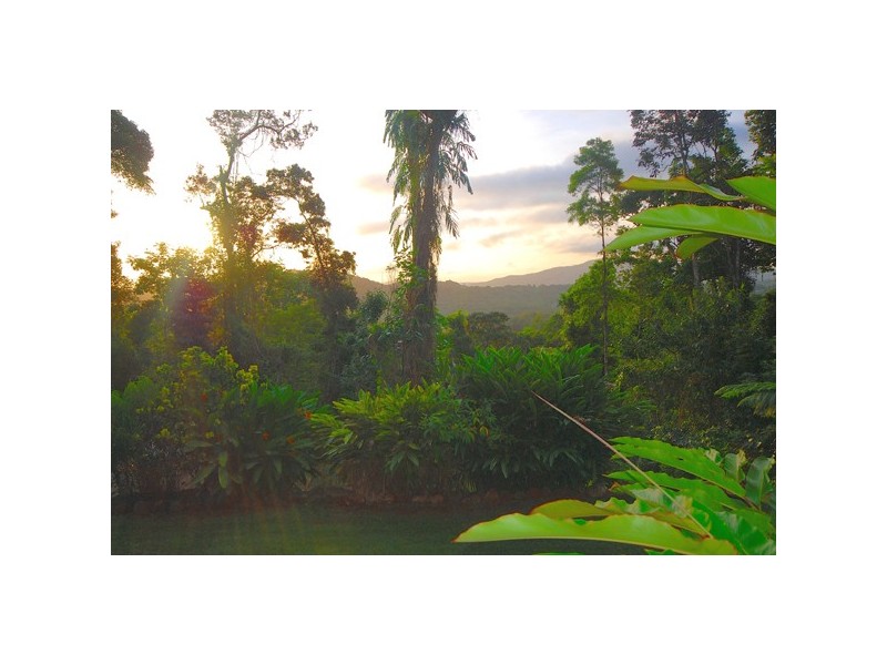 17 Platypus, Kuranda QLD 4881