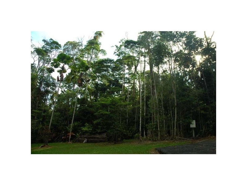 20 Bangalow Place, Kuranda QLD 4881
