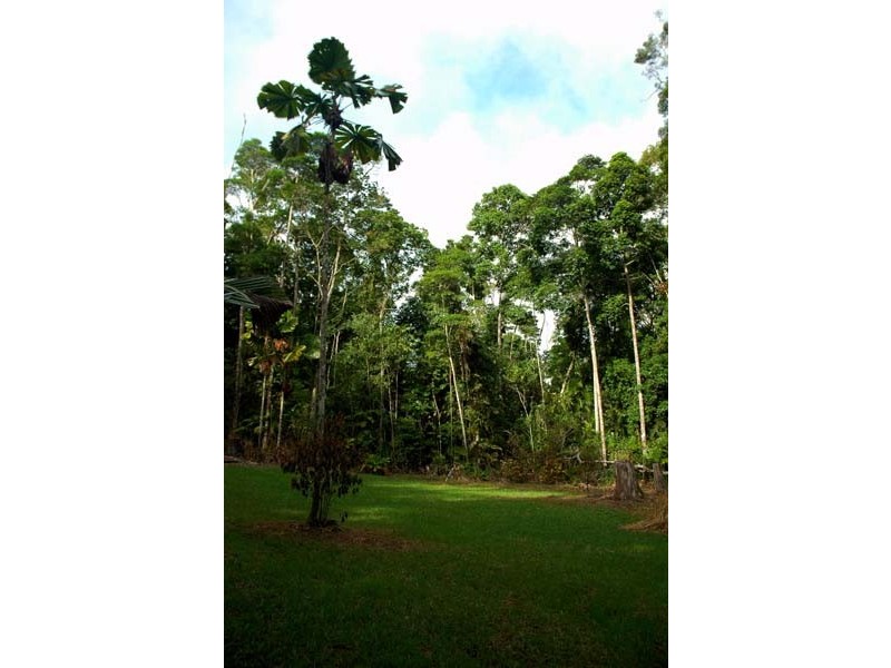 20 Bangalow Place, Kuranda QLD 4881