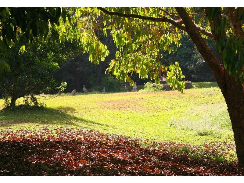 48 Masons Road (Kuranda), Cairns QLD 4870