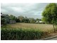 20 Muller Street, Palm Cove QLD 4879