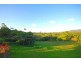 14  Greenhills Road, Kuranda QLD 4881