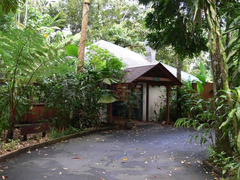 Lot 236 Turpentine Road, Daintree, Cairns QLD 4870