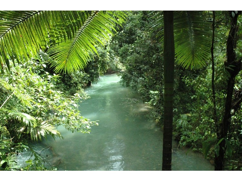 Lot 236 Turpentine Road, Daintree, Cairns QLD 4870