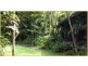 Lot 236 Turpentine Road, Daintree, Cairns QLD 4870
