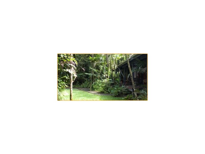 Lot 236 Turpentine Road, Daintree, Cairns QLD 4870