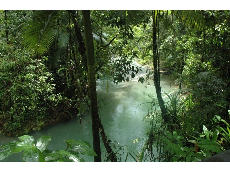 Lot 236 Turpentine Road, Daintree, Cairns QLD 4870