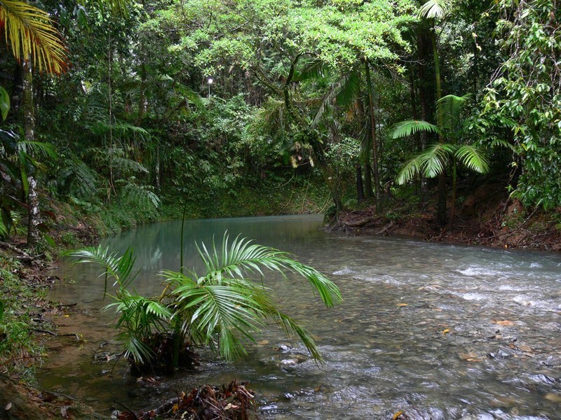 Lot 236 Turpentine Road, Daintree, Cairns QLD 4870