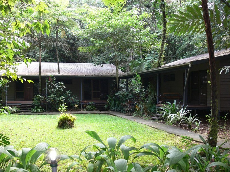 Lot 236 Turpentine Road, Daintree, Cairns QLD 4870