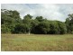 25 Muller Street, Palm Cove QLD 4879