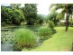 10/2 (31) Lake Placid Road, Caravonica QLD 4878