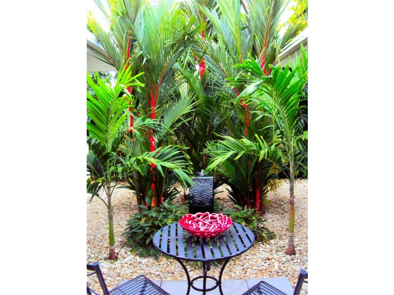 10 St. Crispin Street, Cairns QLD 4870