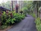 20B Greenhills Road, Kuranda QLD 4881