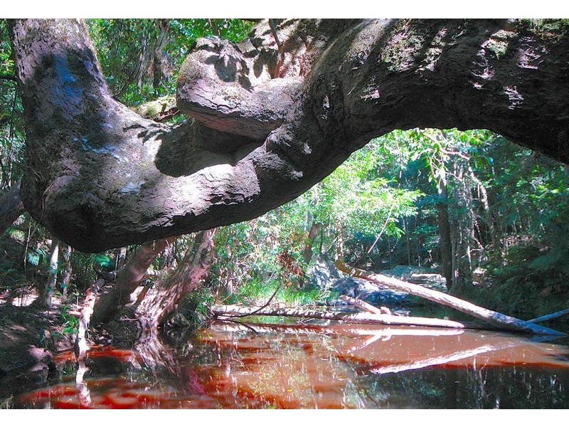 Lot 4 Green Possum Ridge, Kuranda QLD 4881