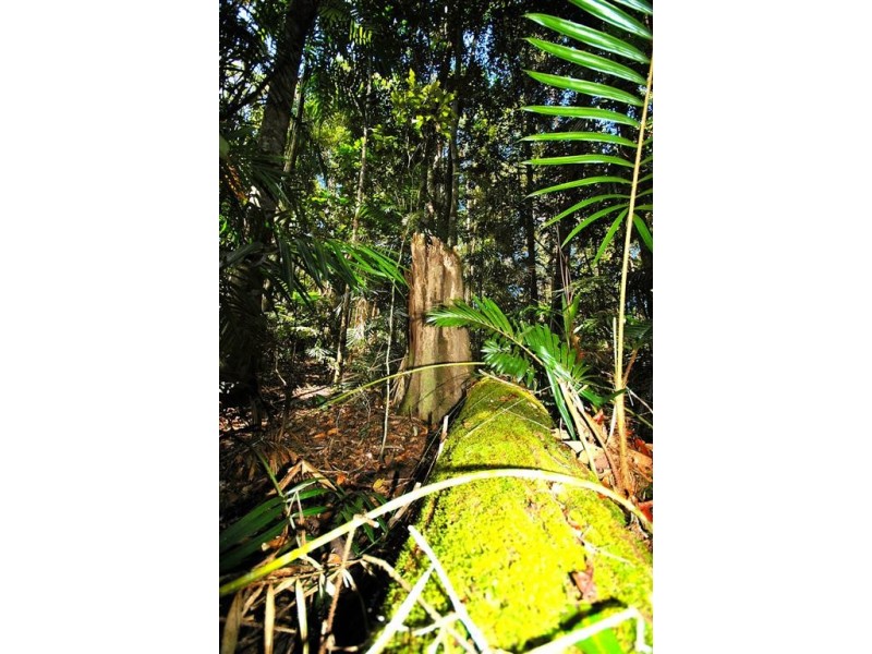 Lot 4 Green Possum Ridge, Kuranda QLD 4881