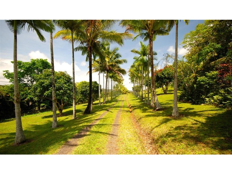 131 Veivers Dr, Speewah, Kuranda QLD 4881