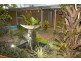 1/52 Madang Street, Trinity Beach QLD 4879