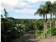 5 Langsat Close, Smithfield QLD 4878