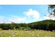 Lot 121 Masons Road, Kuranda QLD 4881