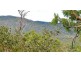 2241 Kennedy Highway, Koah, Kuranda QLD 4881