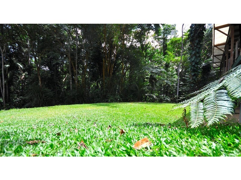 41  Barron Falls Rd, Kuranda QLD 4881