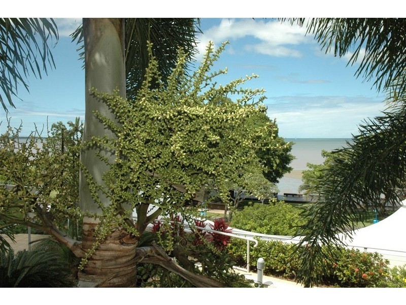 805 Trilogy Apts 99  Esplanade, Cairns QLD 4870