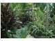 3  Hope Street, Clifton Beach QLD 4879