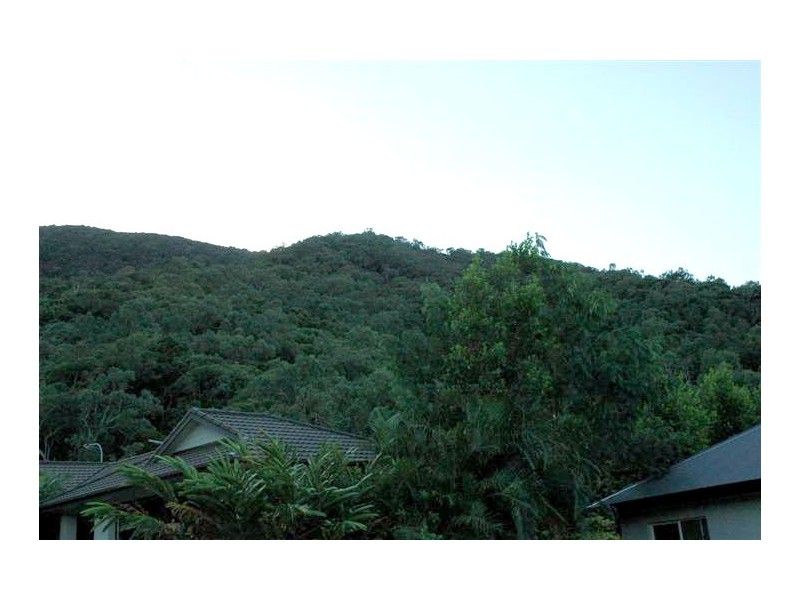 24 Seclusion Drive, Palm Cove QLD 4879