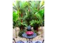 10  St. Crispin Street, Clifton Beach QLD 4879