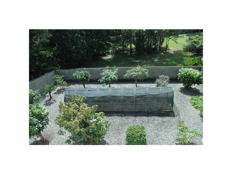 34 Granadilla Drive, Earlville QLD 4870