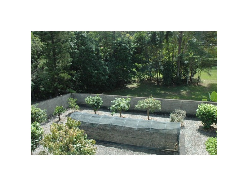 34 Granadilla Drive, Earlville QLD 4870