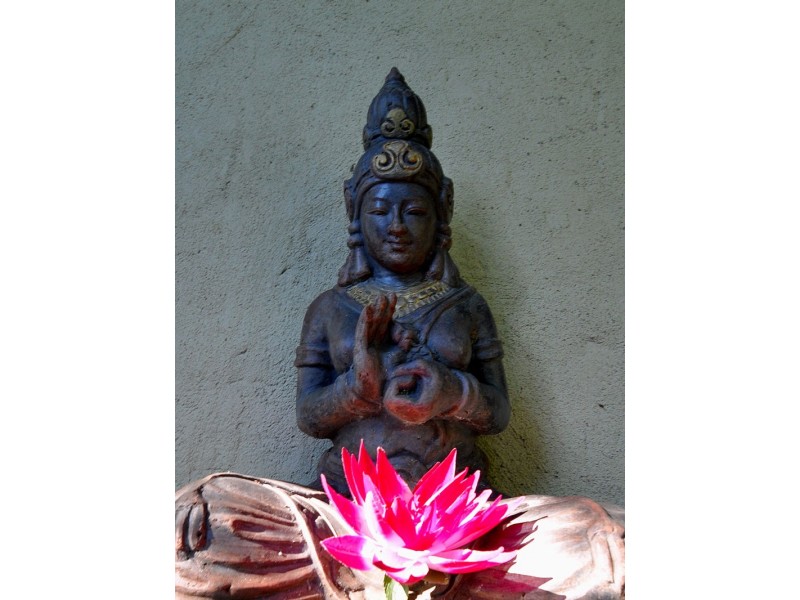 45 Douglas Track, Kuranda QLD 4881